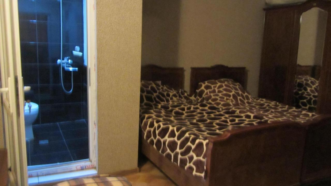Guest House Adelina メスティア エクステリア 写真