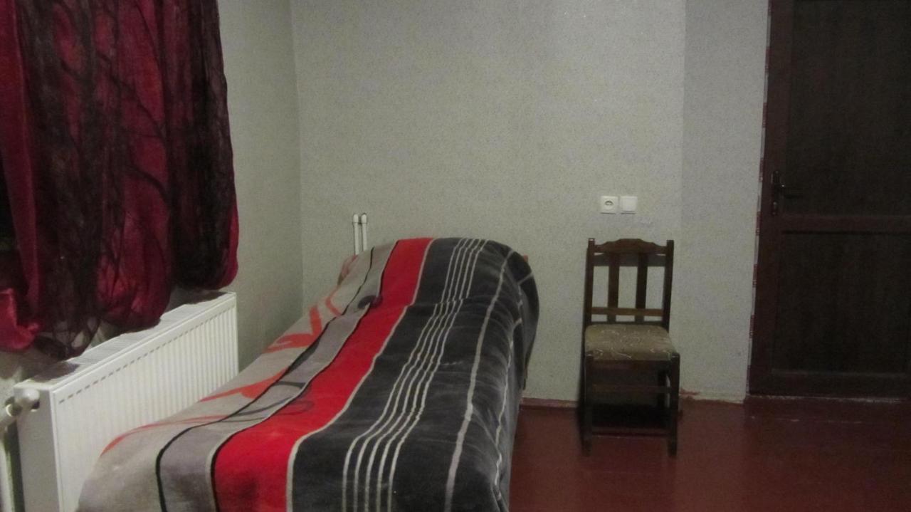 Guest House Adelina メスティア エクステリア 写真