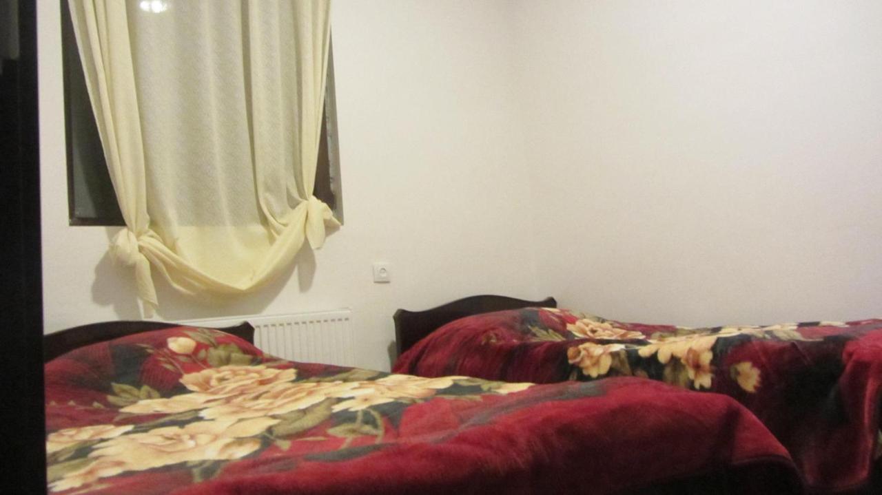 Guest House Adelina メスティア エクステリア 写真